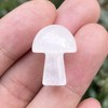Ladeukoi 5Pcs Mini Mushroom Shaped Gemstone Statue Figurine, Carved Crystal