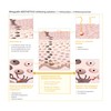 AESTHETICO whitening solution - Brightening Serum for Pigment and Age
