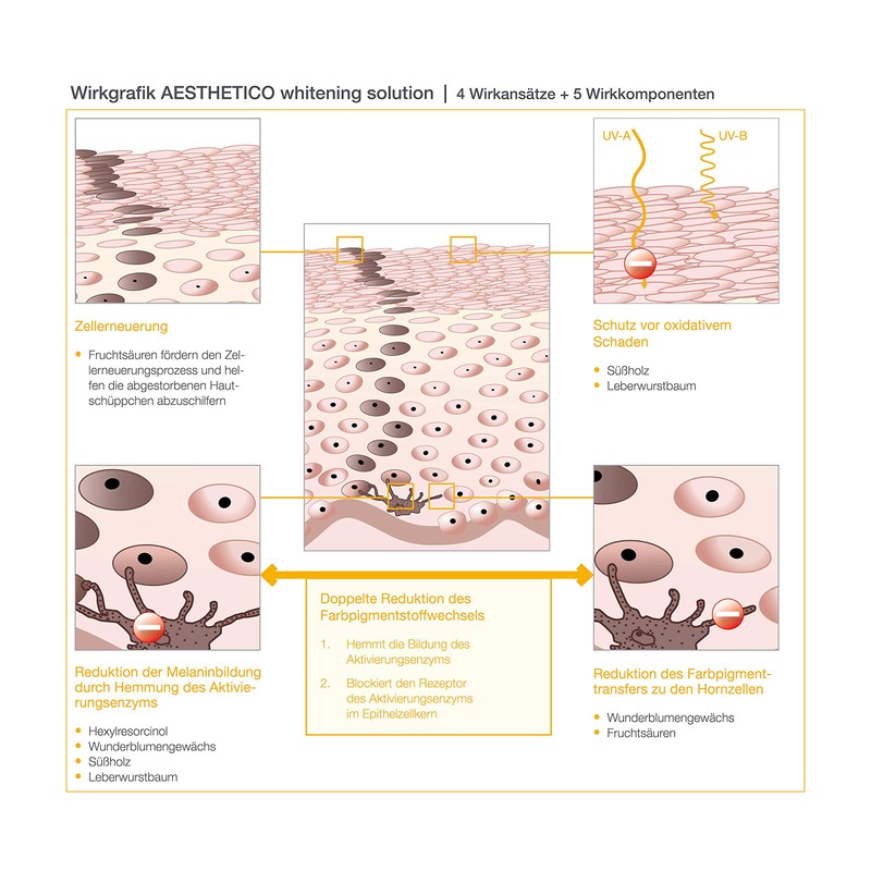 AESTHETICO whitening solution - Brightening Serum for Pigment and Age