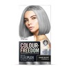 Colour Freedom Metallic Silver Grey Permanent Hair Dye with PurePlex.