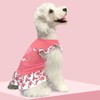 XPUDAC 4 Pack Dog Dresses Cute Printed Puppy Clothes for