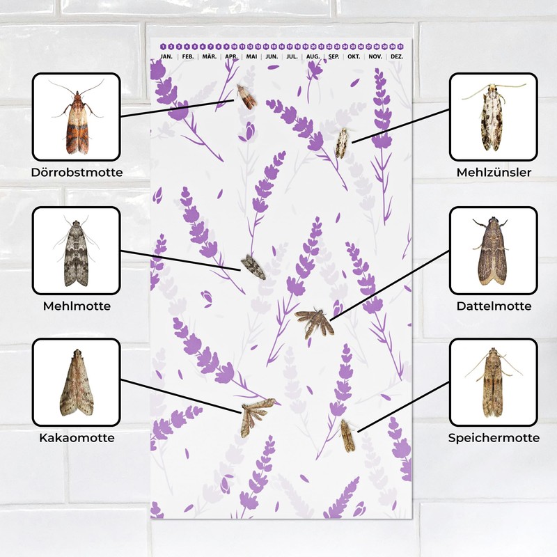 Protecticure High-quality food moth traps - 12 food moth traps