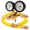 Nitrogen Regulator with 0-800 PSI Delivery Pressure, 60" Hose CGA580