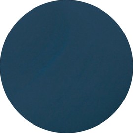 Para Gel 4-Colored Gels amd49 Indigo, G