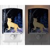 Caroline's Treasures SS8392CNL Starry Night Golden Retriever Ceramic Night Light