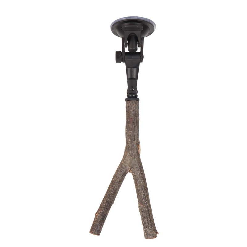 Wooden Perch, Easy Installation Interactive Beak Grinding Bird Branch Perch