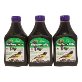 Songbird Essentials 20 Ounce BirdBerry Jelly Squeeze Bottle Bird Feeder Jelly, Grape and Blackberry Jelly Made Just for Birds [Pack of 3]