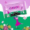 Brach's Black Licorice Jelly Beans, Springtime Easter Candy, 14.5 oz