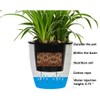 5 Pack Visible Water Level Self Watering Planter with Inner