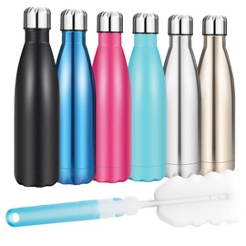 Insulated Water Bottle, Vacuum Stainless Steel & Vacuum Flask Comes with a Cleaning Brush -500ml Stainless Steel Vacuum Bottle, Double Wall Design, Standard Mouth, for Outdoor Sports-Black
