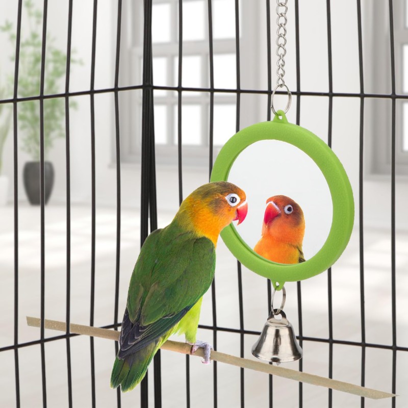 Hypeety Pet Bird Mirror with Bell Interactive Parrot Toy Bird