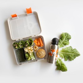 Kid-Friendly Easy Clean Bento Lunchbox by My Family - Leakproof, Durable, BPA-Free - Fits Cooler Bag - Dishwasher Safe