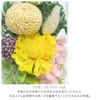 Offering Glass Dome Glass Dome Shizuki
