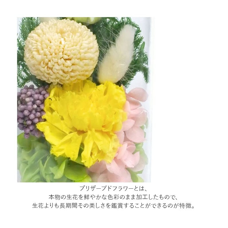 Offering Glass Dome Glass Dome Shizuki