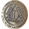 1 Year AA Medallion Trust God Clean House Help Others