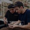 Coperaco Maestrale Espresso Blend Whole Coffee Beans, Medium Roast, Toasted