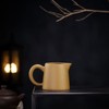 SILINE Yixing Clay Tea Sharing Cup 7.4 Oz for Infuse