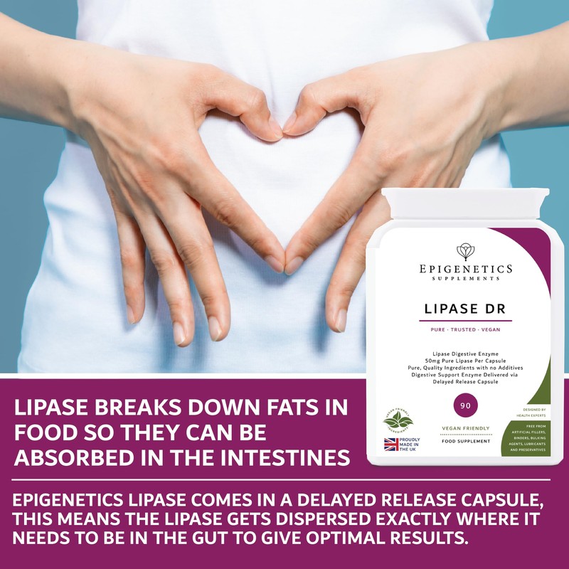 Epigenetics Lipase DR (Delayed Release) 50mg | Digestive Enzyme Supplements