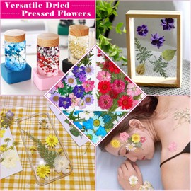 Thrilez 100Pcs Dried Pressed Flowers for Resin Crafts, Small Dried Flower Natural Herbs Pressed for Scrapbooking Greeting Card DIY Bookmark Resin Epoxy Accessories Nails Decor Soap and Candle Making