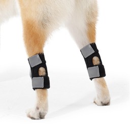 FORFAXE Dog Leg Brace for Back Ankle, Dog Acl Brace Hind Leg for Carpal Support,Dog Leg Sleeve for Carpal Support Prevents Injuries & Sprains,M