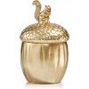 Martha Stewart Collection Harvest Gold Acorn Box