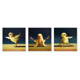 Stupell Industries Funny Yoga Chick Trio Farm Birds Stretching Poses
