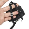 Bearded Dragons Harness Leashes Set Cute Backpack Back to School