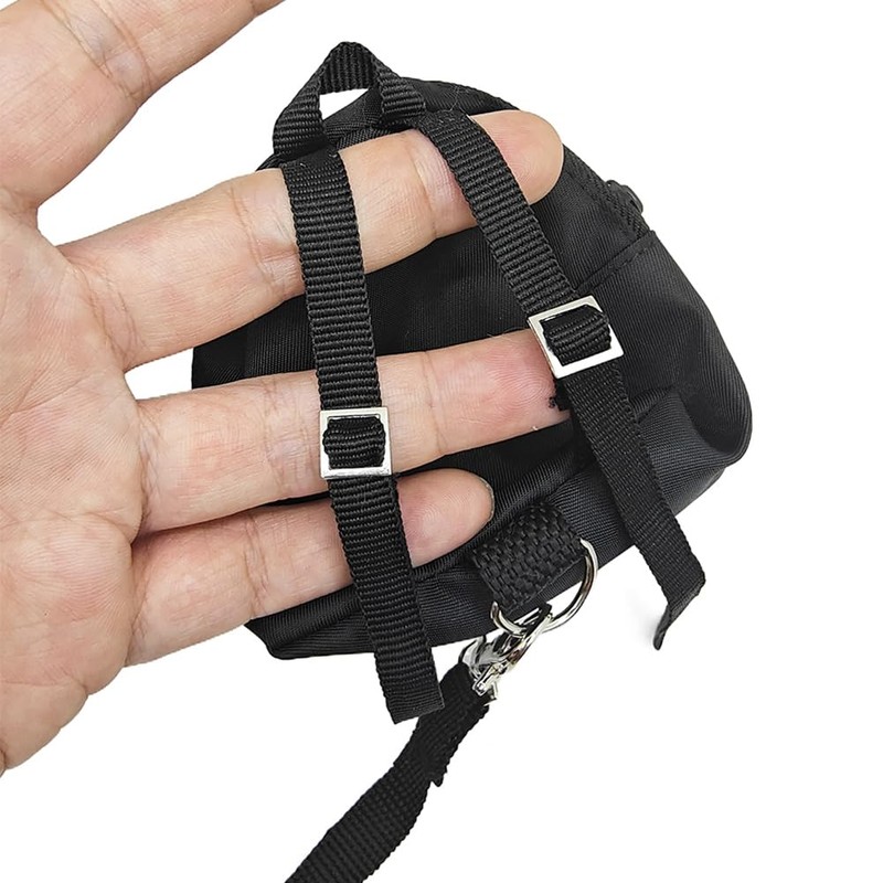 Bearded Dragons Harness Leashes Set Cute Backpack Back to School