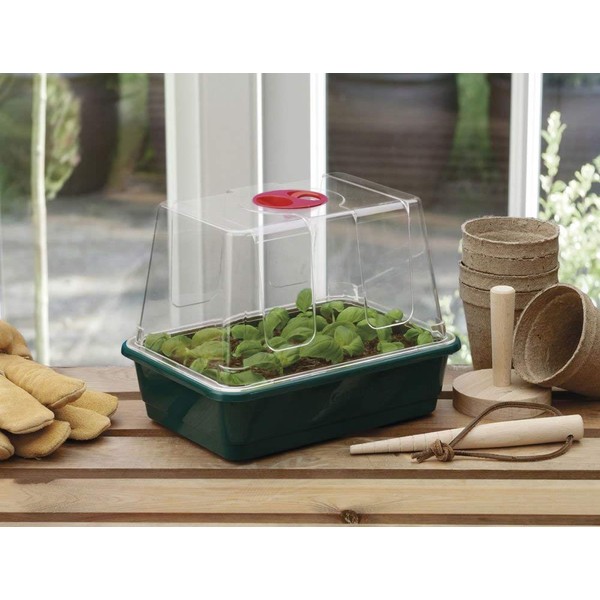 Garland GAL20SM Half-Size High-Dome Propagator, Green, 22x16x19 cm