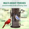 Perky-Pet SBG101 Squirrel Off Max Pinecone Bird Feeder with Flexports