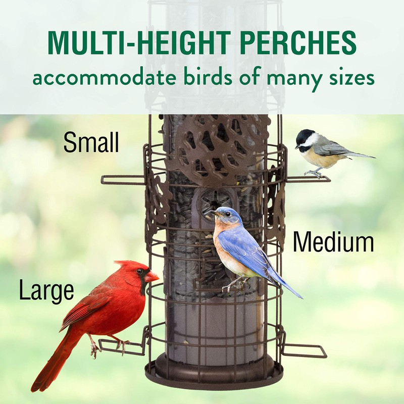 Perky-Pet SBG101 Squirrel Off Max Pinecone Bird Feeder with Flexports
