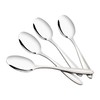 Guankan Stainless Steel Dessert Spoon Set, Set of 16