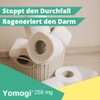 Yomogi - 20 x Diarrhoea Treatment and Prevention