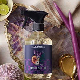 Caldrea Multi-surface Countertop Spray Cleaner, Made with Vegetable Protein Extract, Lavender Cedar Leaf, 16 oz, 3 Pack