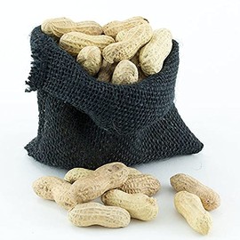 Great Companions in Shell Peanuts, Bird Treat- 5 lbs