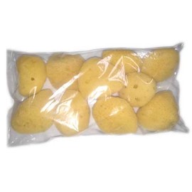 Natural Sea Sponges Natural Sponges Born from the Sea (Set of 10)