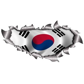 Small Single Flag Of South Korea Metal Rip Open Sticker