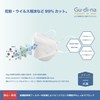 青山通商株式会社 [5個セット] グディナ 快適3D立体 マスク 個包装 ホワイト ふつうサイズ 30枚入×5個セット