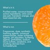 Public Goods Natural Dish Soap | Non-Toxic Kitchen Soap |