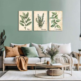 XLARTMY Plant Canvas Wall Art Botanical Framed Sage Green Herbs Rosemary Cooking Kitchen Picture Farmhouse Women Antique Decor Set of 3 Lemonbalm Painting Prints for Gallery Livingroom 16x24in