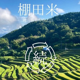 MEMORYZA Brown Rice Coffee, Drip Type, 4.2 oz (120 g), Brown Rice Coffee, Decaffeinated Decaffeine, 100% Domestic Brown Rice