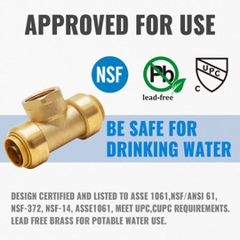 SUNGATOR 3/4 Inch Pushfit Female Tee, 3/4 Inch PTC x 3/4 Inch PTC x 3/4 Inch FNPT, No Lead Brass Push-to-Connect Plumbing Fittings to Connect PEX, Copper, CPVC, With A Disconnect Clip, Pack of 2