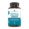 MCS Boswellia Mega AKBA Pro Liposomal 402mg 60 Vegetable Capsules