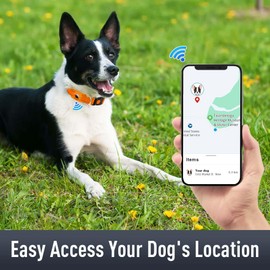 Erbine Airtag Dog Collar for Large Dogs, Reflective Dog Collars with AirTag Holder, Soft Padded & Safety Locking Buckle, Nylon Pet Collar Adjustable for All Breeds, Black