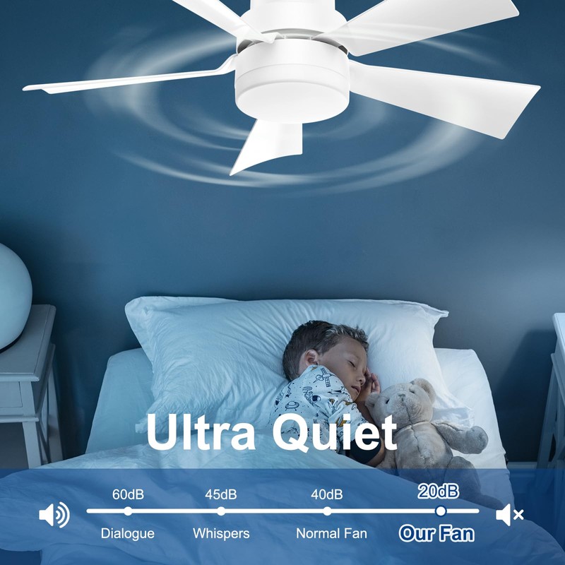 We Charger Socket Fan Light, Ceiling Fans with Spare Light