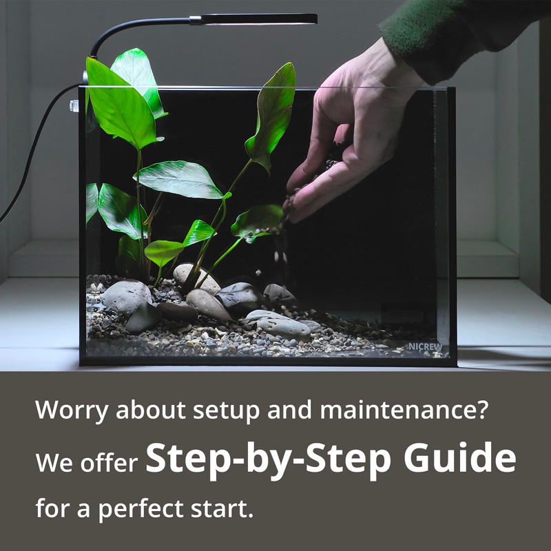 NICREW 2.5 Gallon Nano Nature Aquarium Kit, Ultra-Clear Rimless Desktop