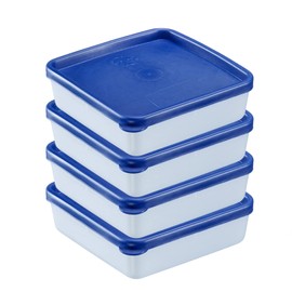 Westmark 4 Food Storage / Freezer Containers with Lid Capacity 0.25 L Each Stackable Plastic Trio Colour Transparent/Blue 25042270