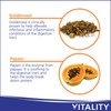 VITALITY VITALITY Digest+ All Herbal Supplement - 60 Tablets