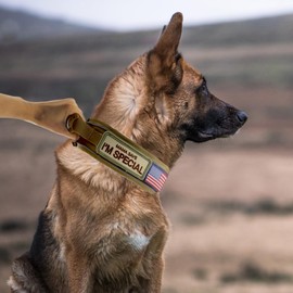 Comfluxe Tactical Dog Collar,Heavy Duty Dog Collar,Dog Collar with Handle,Reflective Military Dog Collar,2.6" Wide Dog Collar with Quick Release Metal Buckle for Medium Large Dogs(Khaki,L)