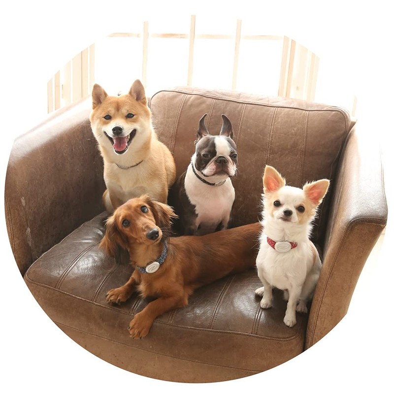 Zaoral Recovery α Band, Red/Silver, Size 21